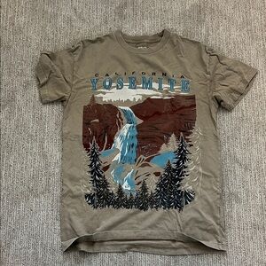 Abercrombie & Fitch Yosemite Graphic Tee - Brown